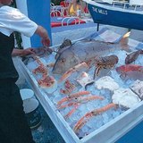 Струва си да бъдат опитани "морските дарове" в Гърция