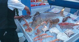 Струва си да бъдат опитани "морските дарове" в Гърция