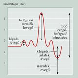A légzőszervünkben percenként cserélődő levegő mennyisége