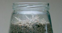 Експериментално средство за наблюдение на дъждовни червеи