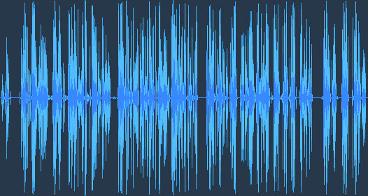 Птиците в мрежата – изпълнение