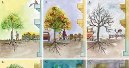 Животът на едно дърво в града