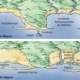 Turzásképződmények