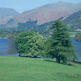 На мястото на унищожените гори в Англия днес могат да се видят паркове и градини.