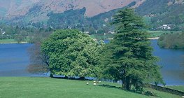 На мястото на унищожените гори в Англия днес могат да се видят паркове и градини.