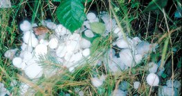 След градушка