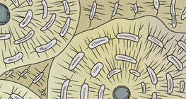 Костна тъкан