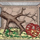 Обзавеждане на терариум