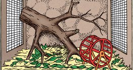 Обзавеждане на терариум