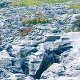 Варовикова повърхност