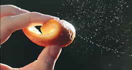 Етерични масла - кора от портокал