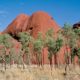 Червените скали на планината Олгас в Австралия