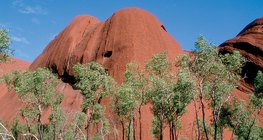 Червените скали на планината Олгас в Австралия