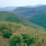 Скални рифтове