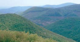 Скални рифтове