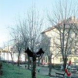 Тоалетна за кучета