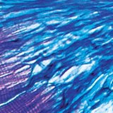 Връзка между мускулите и сухожилията