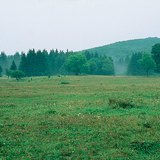 Платото Бюк (Унгария)