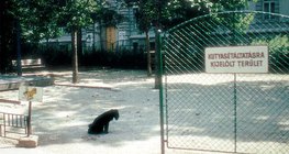 Обозначена територия за разхождане на кучета