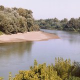 A Tisza kanyarulata