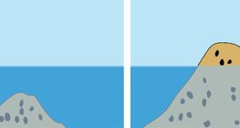 Риф и остров