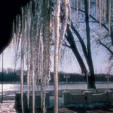 Ледени висулки