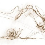 Охлювът се движи бавно, заекът - бързо