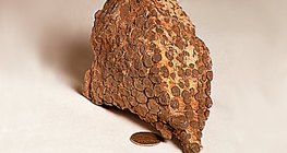 Варовиков риф