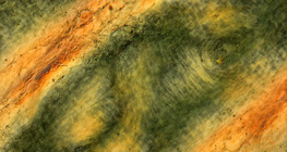 Гънките на кожата на човешки пръст на поляризирана светлина