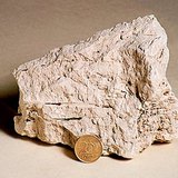 Креда (варорик)