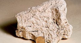 Креда (варорик)