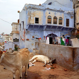 Изглед от Индия