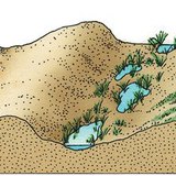 Образуване на пясъчните дюни