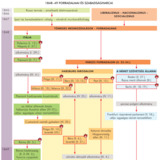 Forradalmak, szabadságharcok, 1848-1849