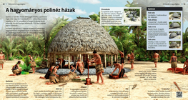 Традиционен полинезийски дом