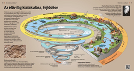 Развитие на флората и фауната