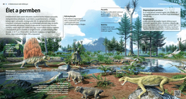 Животът през перм