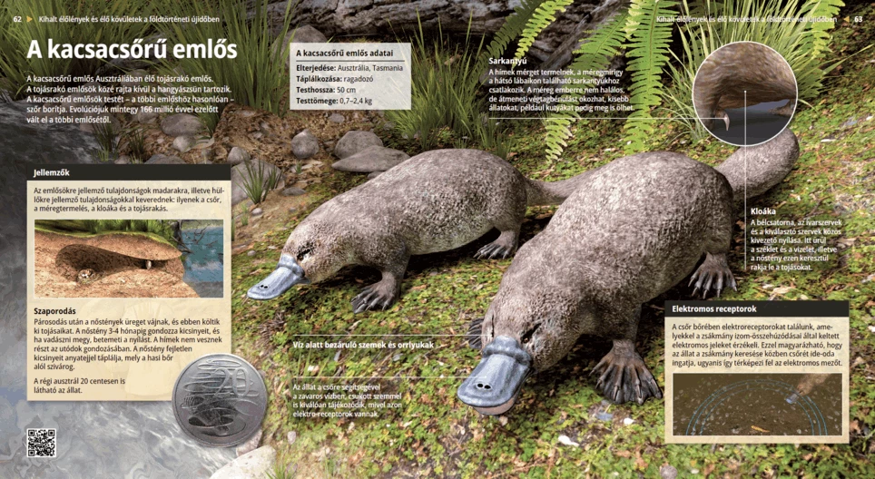 Птицечовка