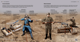 Войници в Първата световна война (френски, немски)