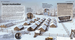 Съветски трудов лагер