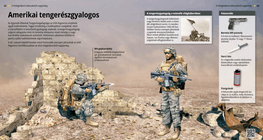 Американски морски пехотинец