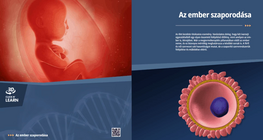 Размножаването при човека