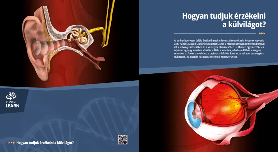 Как усещаме околния свят?