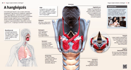 Образуване на звук