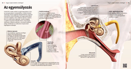 Равновесие