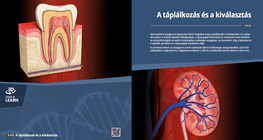 Хранене и отделяне