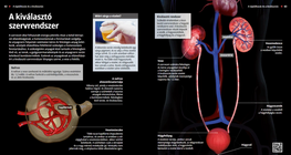 Отделителна система