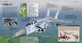 „Микоян МиГ-31“