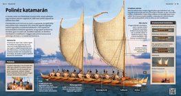 Полинезийски катамаран