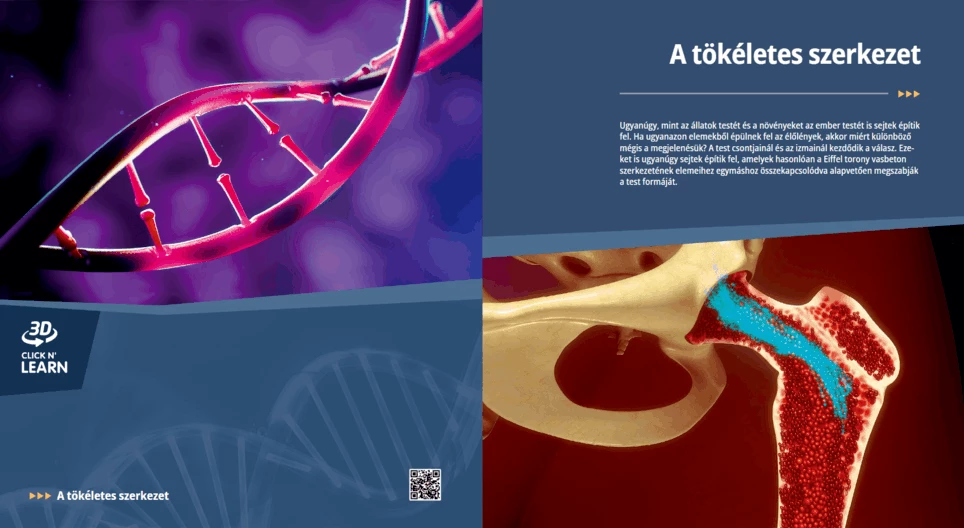 Съвършен механизъм